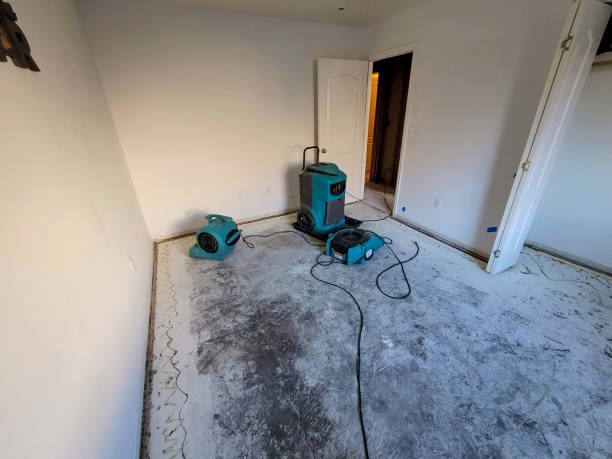 Best Water damage contractors near me  in Smithville, MO