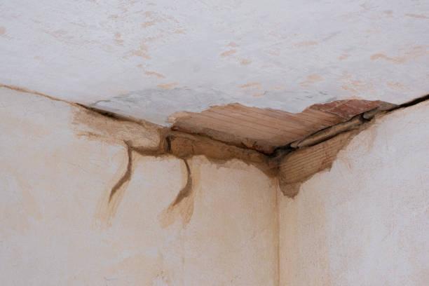 Best Flooded house restoration  in Smithville, MO
