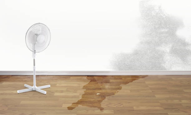Best Flood damage cleanup  in Smithville, MO