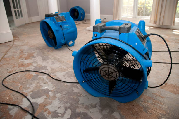 Best Basement water damage restoration  in Smithville, MO