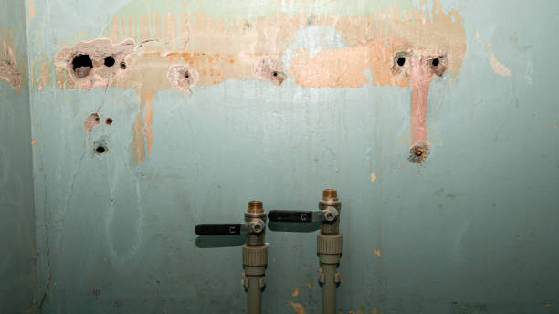 Best Carpet water damage restoration  in Smithville, MO