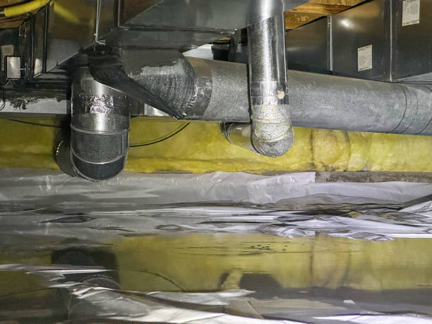 Best Mold removal after water damage  in Smithville, MO
