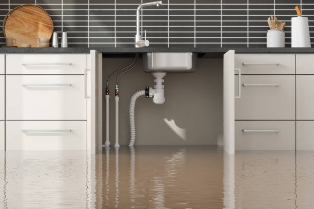 Best Residential water damage restoration  in Smithville, MO