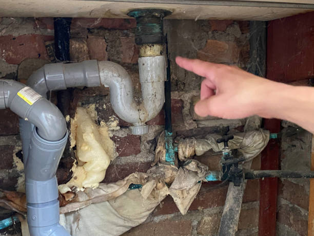 Best Local water damage restoration  in Smithville, MO