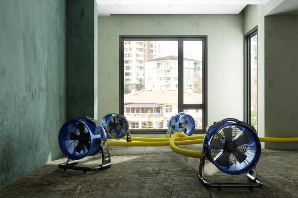 Best Fire Damage Restoration  in Smithville, MO