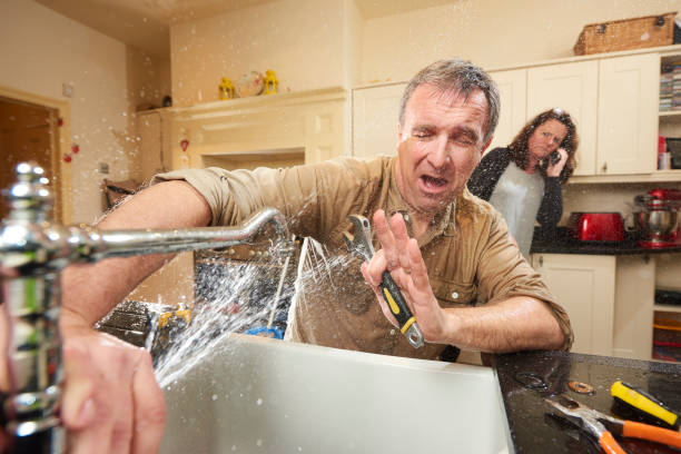 Best Professional water damage repair  in Smithville, MO